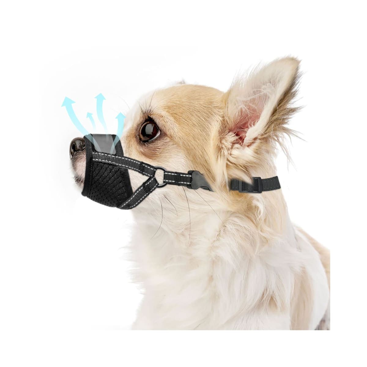 Dog Muzzle for Small Dogs