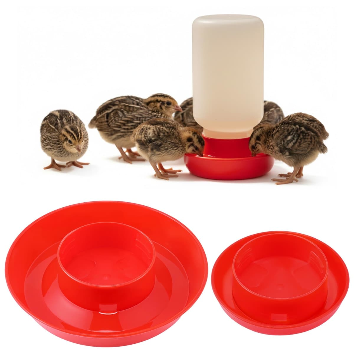Enhon 2 Sizes Quail Waterer Base, Quail & Chick No Drown Water Base, Safety Waterer and Feeder, Compatible with Bottles with A 2.5inch Outer Diameter and Threaded Neck for Brooding Chicks