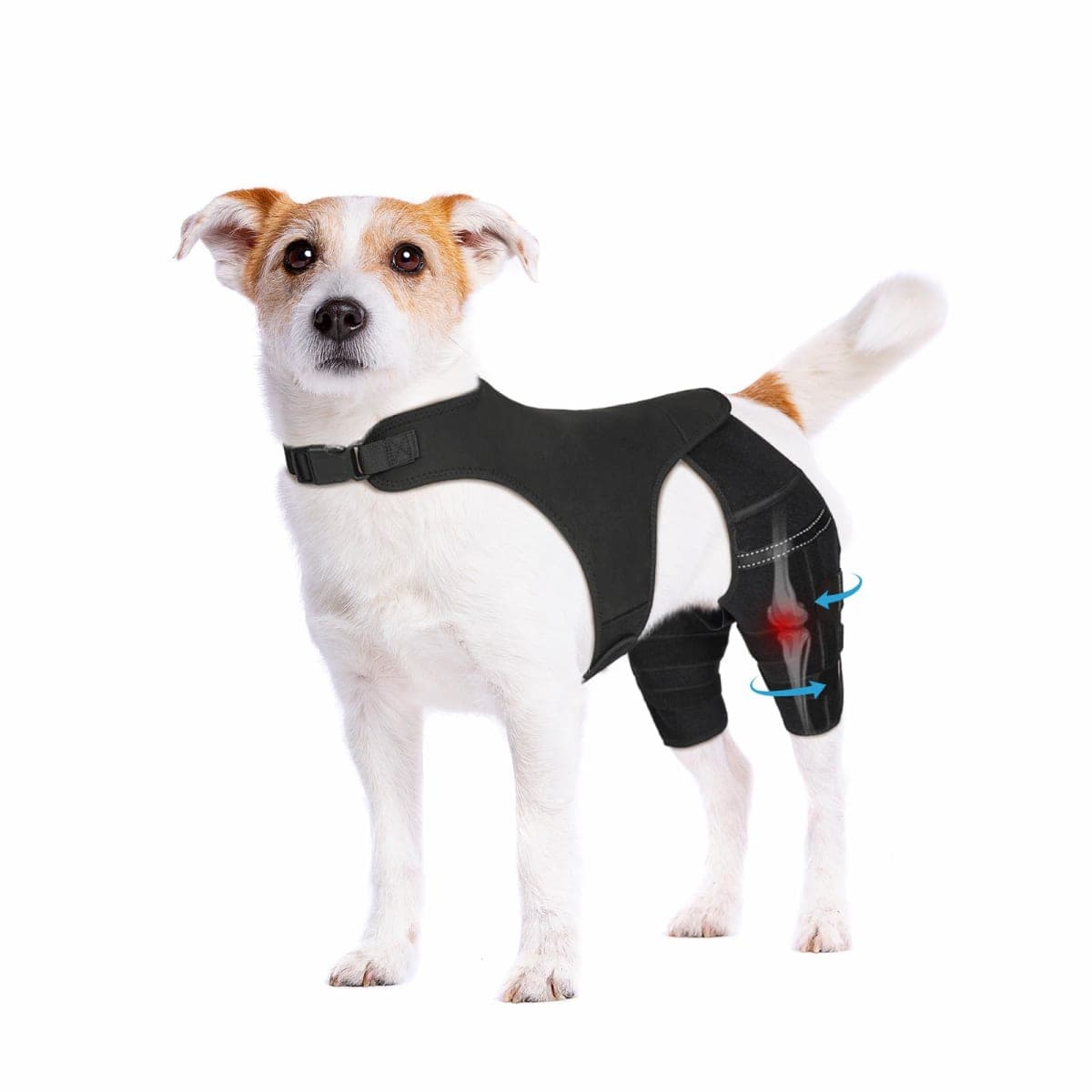 Pawfun Dog Knee Brace for Torn ACL Hind Leg, Dog Leg Braces for Back Leg Support with 4 Metal Stabilizers Helps with Torn CCL, Luxating Patella, Ligament Injuries, Hip Dysplasia,S