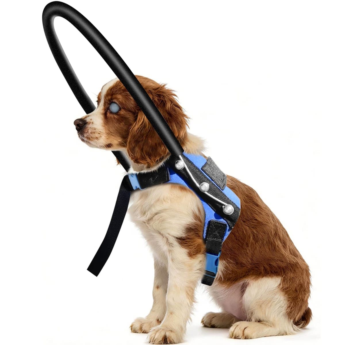 LetPetRun Protective Halo Harness for Blind Dogs,Adjustable Protective Ring Collar Vest, Safe Walking Navigation Aid for Visually Impaired Dogs (13"-17")