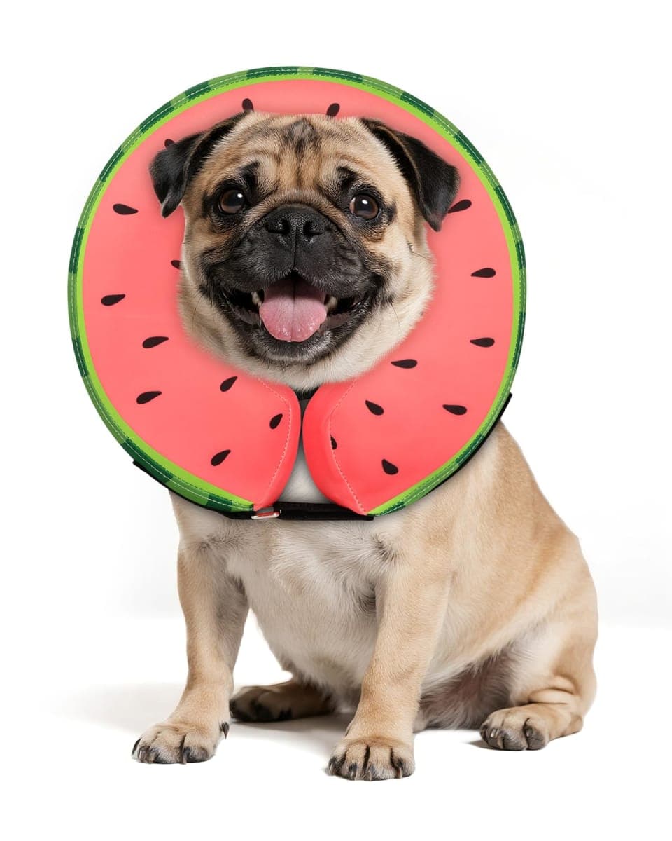 MIDOG Dog Cone Collar for Large Medium Dogs, Soft Inflatable Dog Cone Alternative After Surgery, Adjustable Protective Recovery Cone - Alternative E Collar Does Not Block Vision (Watermelon,M)