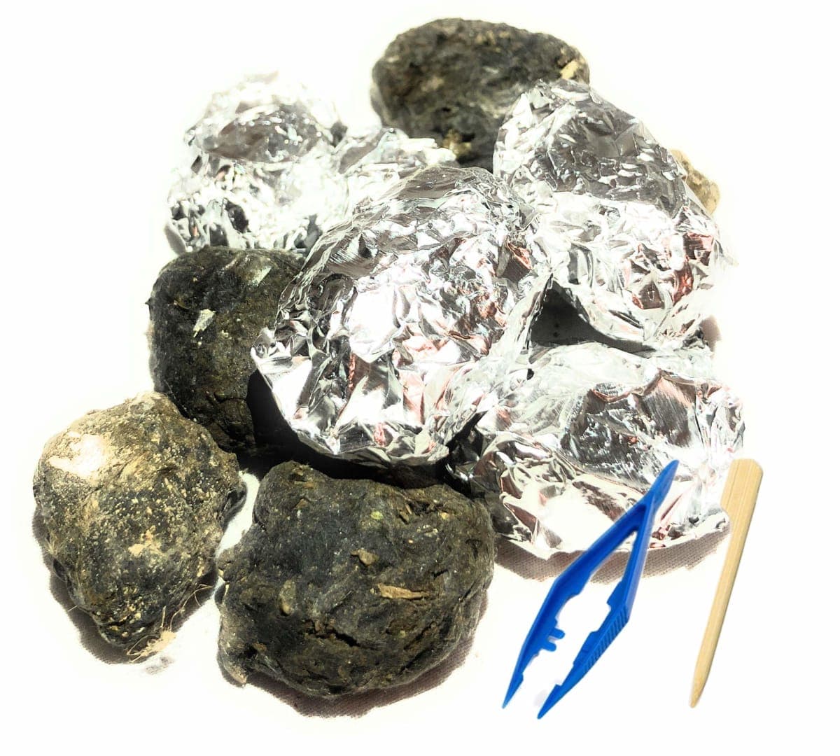PelletPal Premium Barn Owl Pellets Small (Pack of 20) - Free Bone ID Chart & Teaching Guide Included!