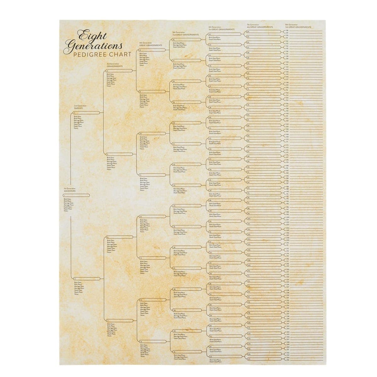 15-Pack Family Tree Charts to Fill In, Blank 8 Generation Genealogy Poster for Family History, Lineage, Reunions, Large Pedigree Chart, 255 Total Name Spaces (17x22 in)