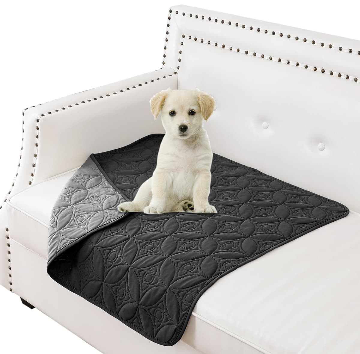 Tuffeel Waterproof Dog Blanket, 30x30 inches Small Pet Couch Covers for Sofa, Chair Bed Furniture Protector from Dogs Washable and Reversible-Black+Darkgrey