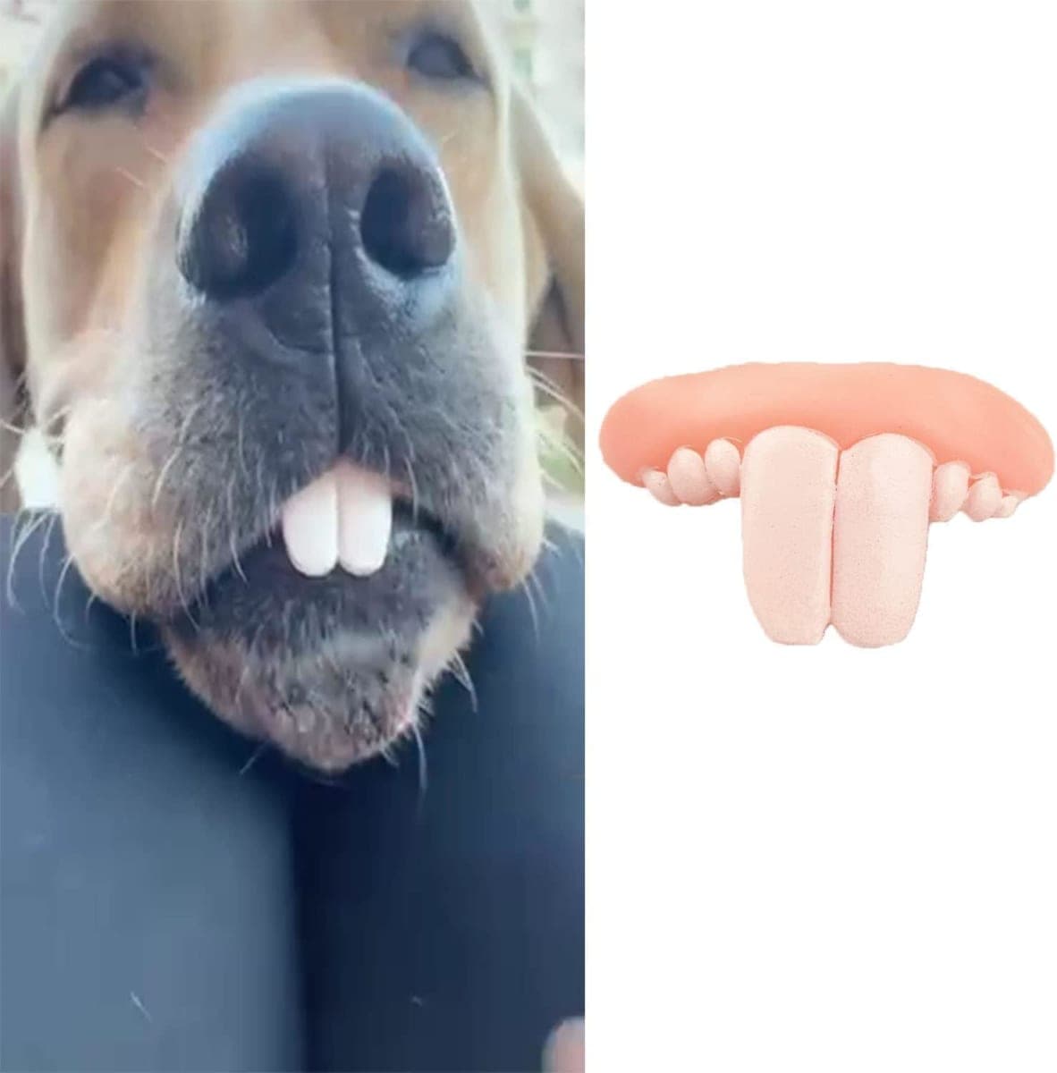 Dog Fake Teeth - White Braces for Christmas Costume, Funny Chew Toy, Pet Supplies, Buck Teeth, Decorations
