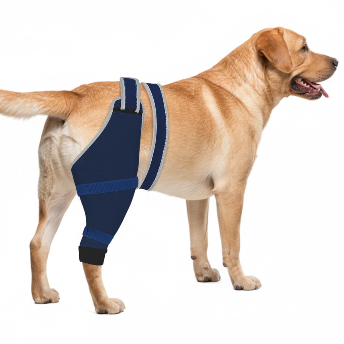 Dog Leg Sleeve to Stop Licking for Male Dogs