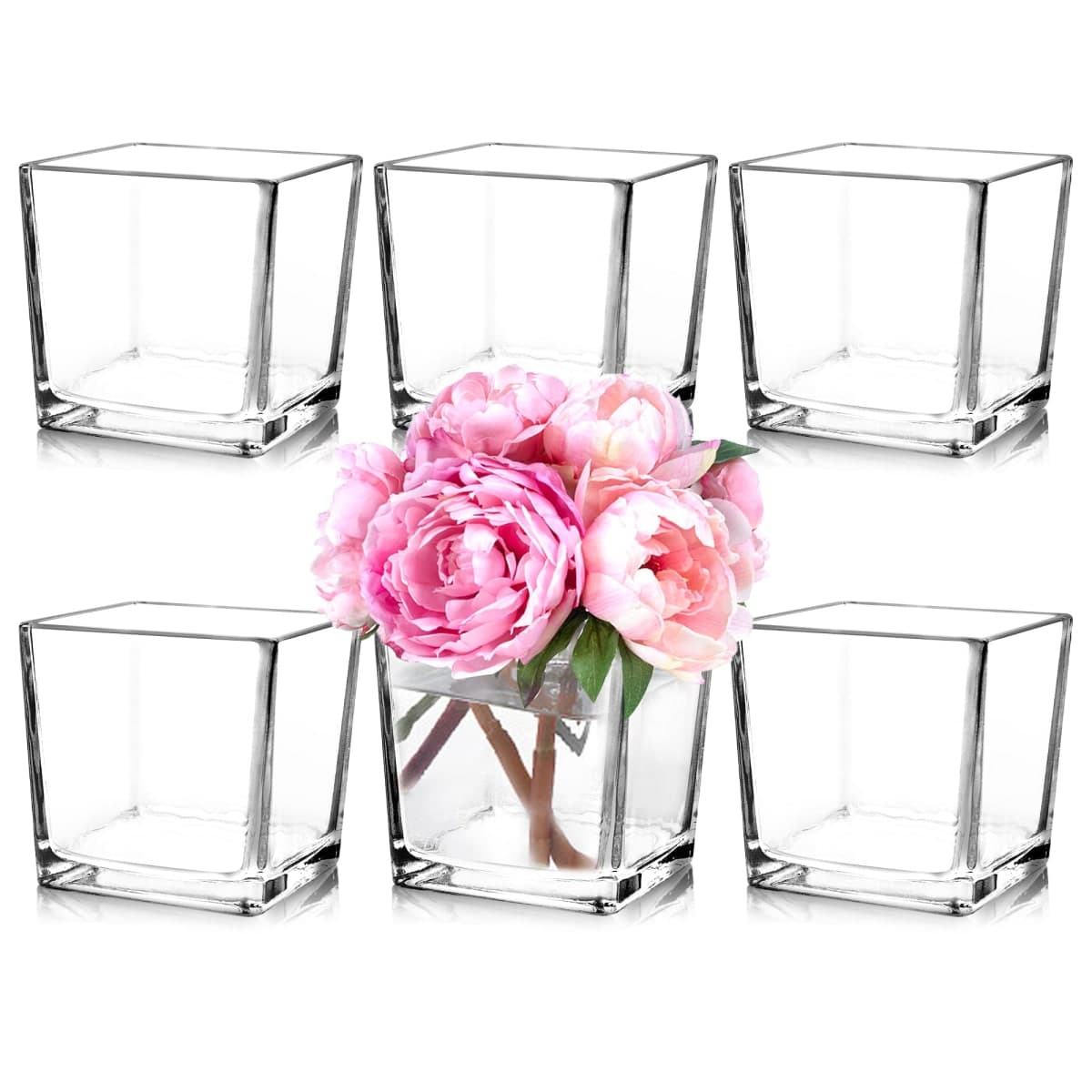 Comrzor 6 Pack Square Glass Vases 5" x5" x 5", Clear Flower Vases