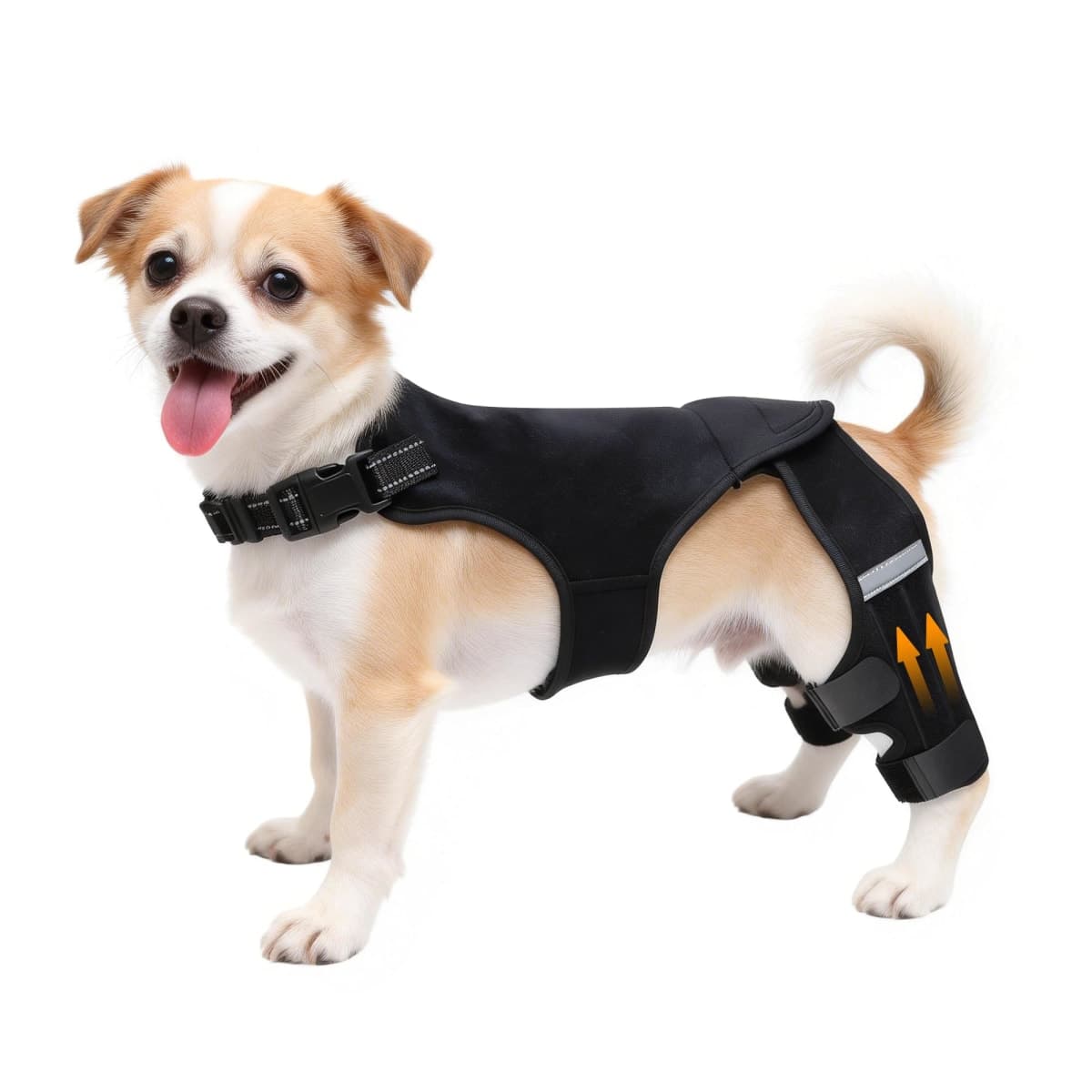 ALYBIT Dog Knee Braces for Torn ACL Hind Leg, Adjustable Dog Leg Braces for Back Leg with 4 Stabilizers for Luxating Patella Relieves Ligament Injury and Joint Pain(S)