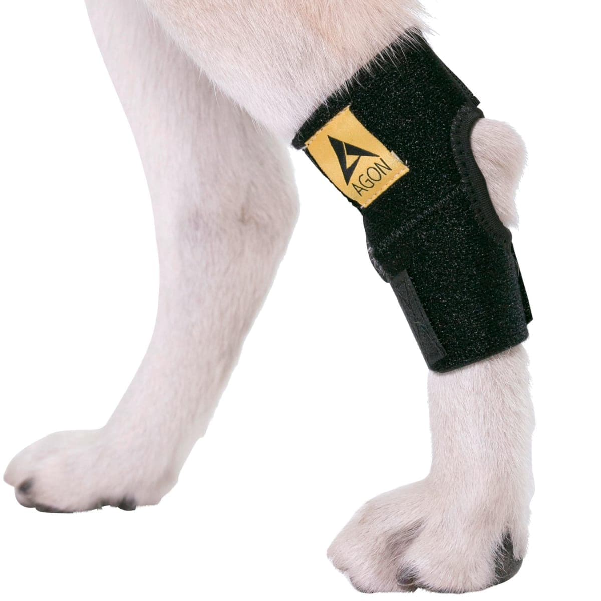 Agon Dog Canine Rear Hock Joint Brace Compression Wrap with Straps Dog for Back Leg Protects Wounds. Heals Prevents Injuries and Sprains Helps with Loss of Stability Caused by Arthritis (Small)