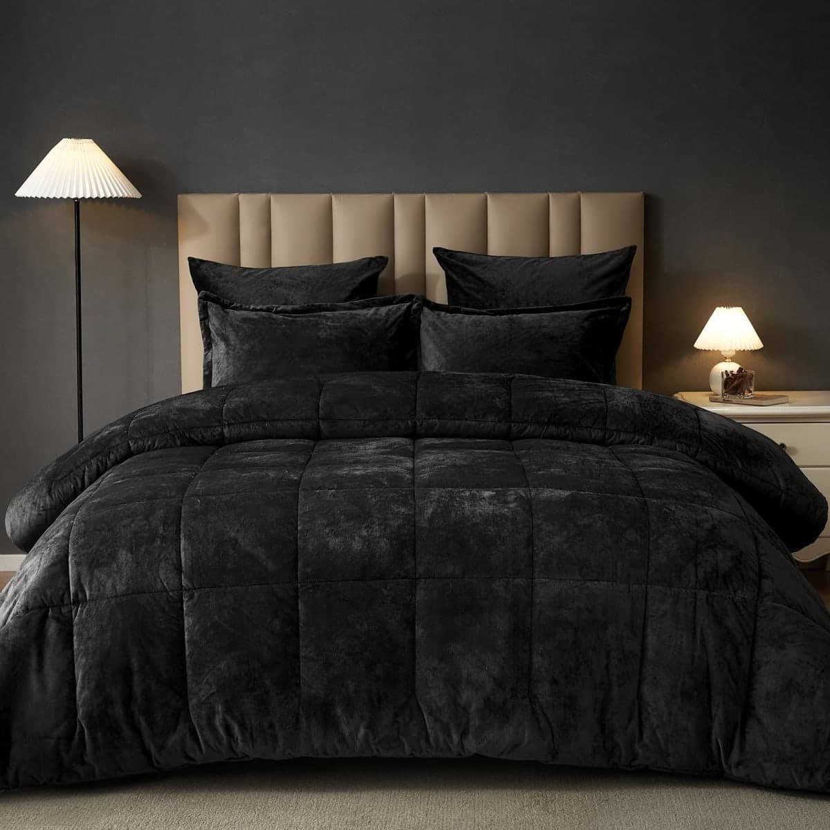 PHF Double-Sided Velvet Cozy Comforter Set Queen Size, 5 Piece Luxury Bedding Set, Ultra Soft Breathable Comforter with Pillow Shams and Euro Shams, Modern Bed in A Bag for Home Decor, Black