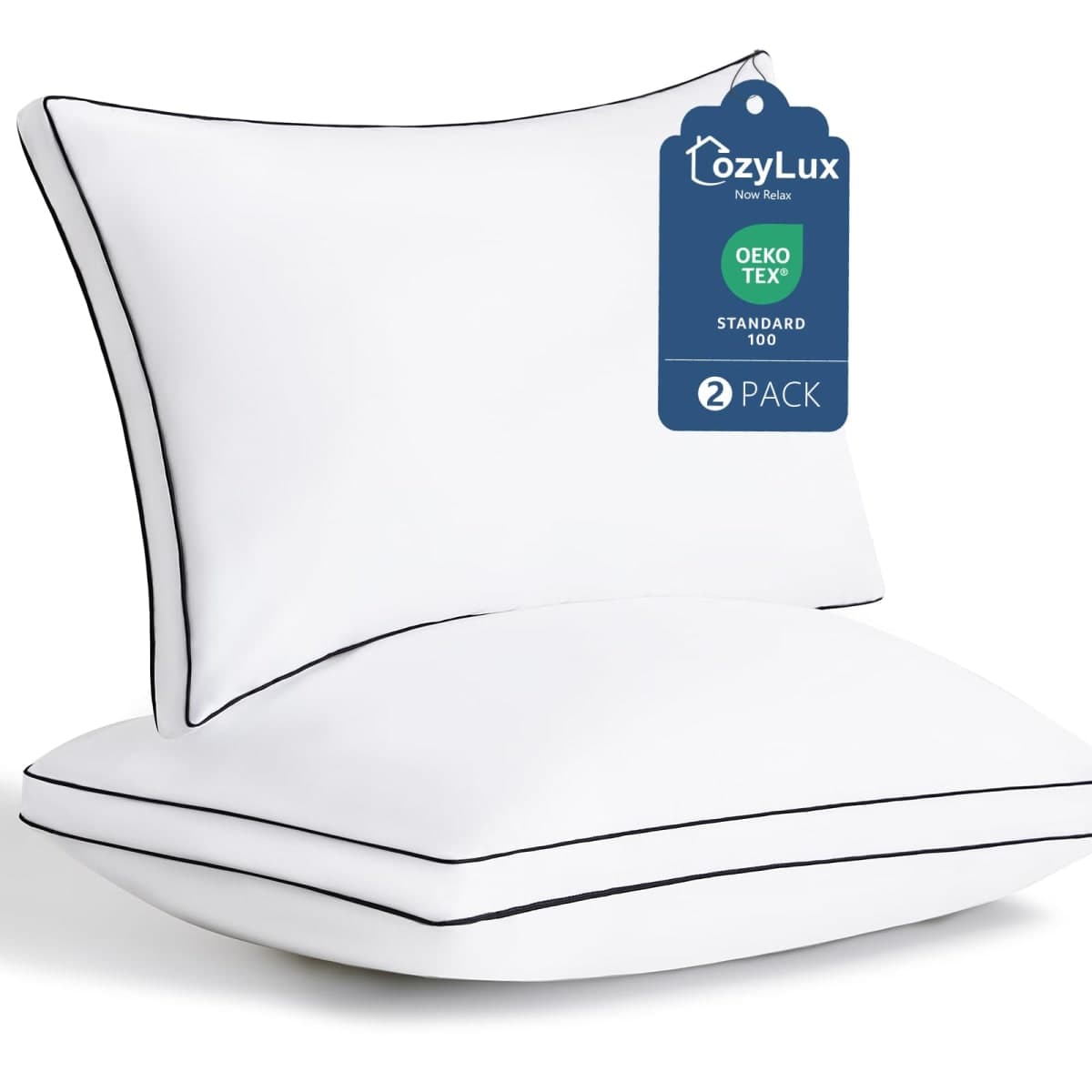 CozyLux Pillows Queen Size Set of 2, Gusseted Bed Pillow, 18 x 28 Inch
